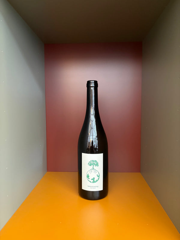 Werlitsch — Welschriesling Vom Opok 2024
