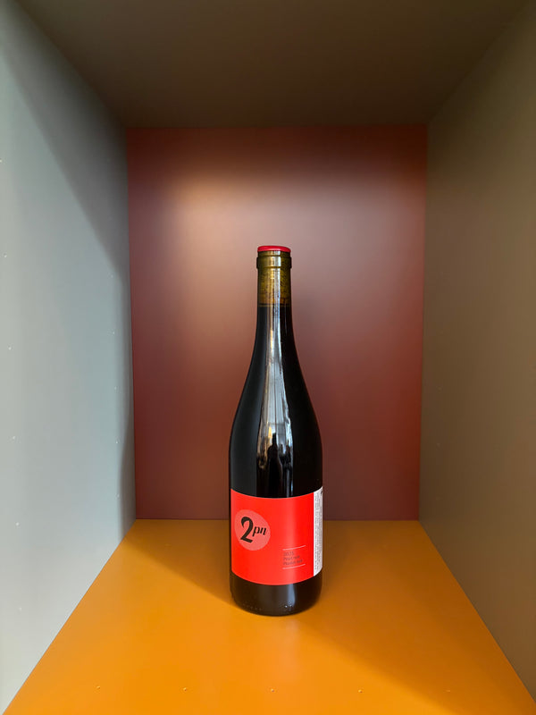Audrey Pilorget Pinot Noir 2023 wine bottle with red label