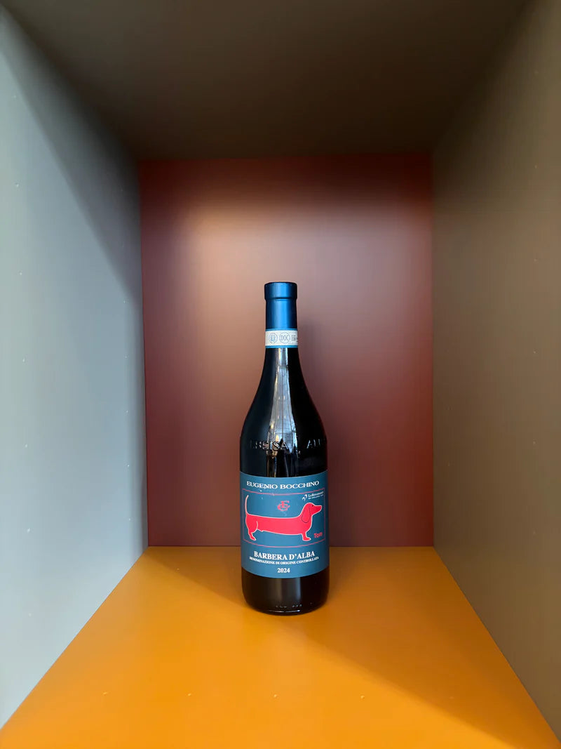 Bocchino Barbera d'Alba Tom 2024 wine bottle with blue cap and label